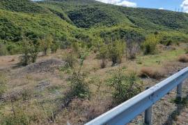 Land For Sale, Agricultural, Dzegvi