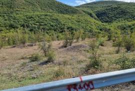 Land For Sale, Agricultural, Dzegvi