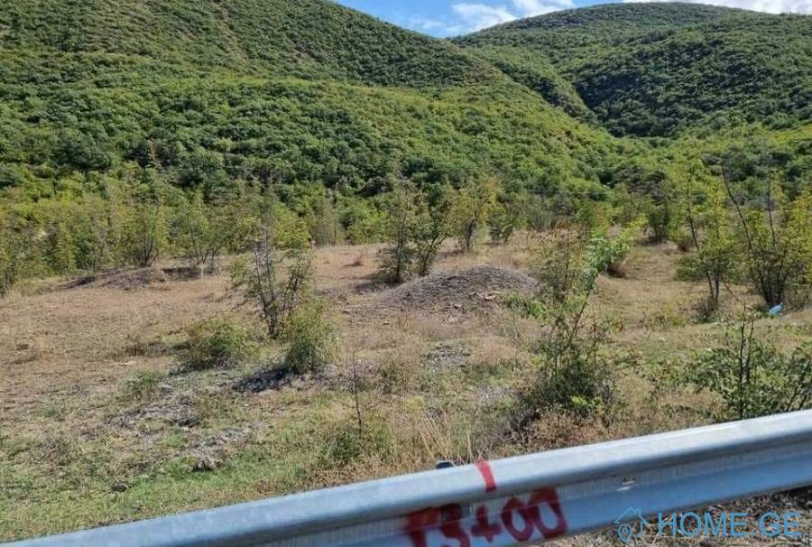 Land For Sale, Agricultural, Dzegvi
