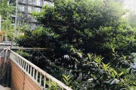 For Rent, 2 Room, Old building, Tbilisi, saburtalo