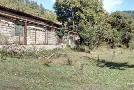 იყიდება სახლი, 1 ოთახიანი, ბორჯომი, ლიკანი