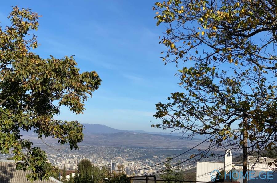 იყიდება მიწის ნაკვეთი, სასოფლო - სამეურნეო, წყნეთი