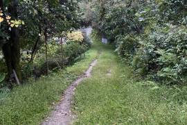 Land For Sale, Tsinsvla, Chelta