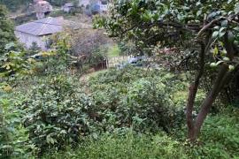 Land For Sale, Tsinsvla, Chelta