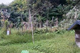 Land For Sale, Tsinsvla, Chelta