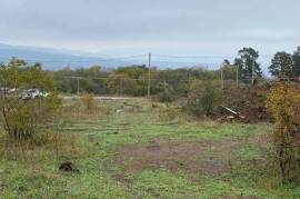 Land For Sale, Betania