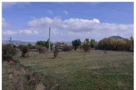 Land For Sale, Tabakhmela