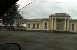 იყიდება მიწის ნაკვეთი, ინგირი