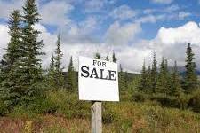 Land For Sale, Teleti