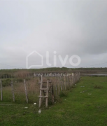 Land For Sale, Agricultural, Anaklia