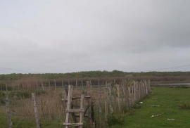 Land For Sale, Agricultural, Anaklia