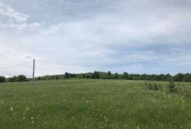 Land For Sale, Manglisi