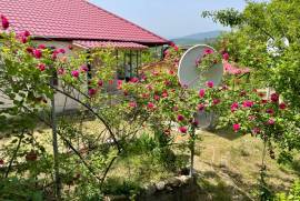House For Rent, Kotoraantkari