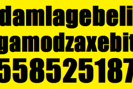 damlagebeli gamodzaxebit 558 52 51 87 დამლაგებელი გამოძახებით