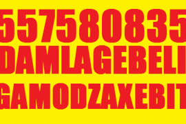 DAMLAGEBELI GAMODZAXEBIT 557 58 08 35