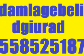 damlagebeli dgiurad 558 52 51 87 დამლაგებელი დღიურად