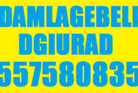 DAMLAGEBELI DGIURAD 557 58 08 35