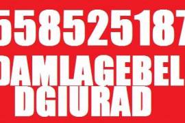 DAMLAGEBELI DGIURAD 558 52 51 87