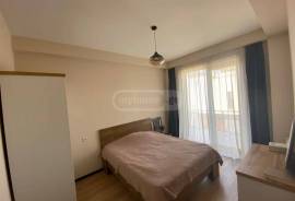 House For Rent, Tskneti