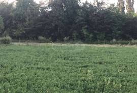 Land For Sale, Agricultural