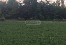 Land For Sale, Agricultural