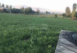 Land For Sale, Agricultural