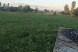 Land For Sale, Agricultural