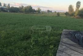 Land For Sale, Agricultural