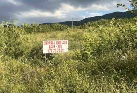 Land For Sale, Saguramo