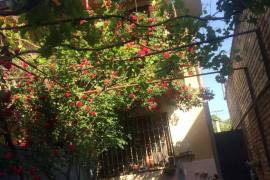 House For Sale, Nadzaladevi