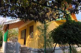 იყიდება სახლი, 3 ოთახიანი, დუშეთი, არაგვისპირი