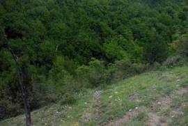 Land For Sale, Mtskheta