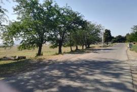 Land For Sale, Krtsanisi 