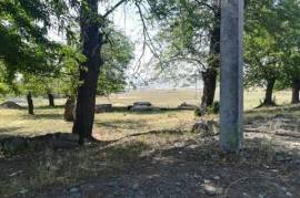 Land For Sale, Krtsanisi 