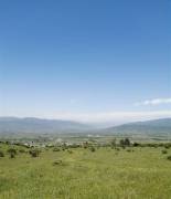 Land For Sale, Saguramo