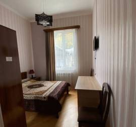 For Sale , Hotel, Borjomi