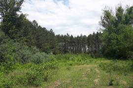 Land For Sale, Choporti