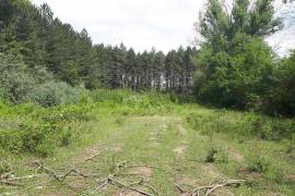 Land For Sale, Choporti