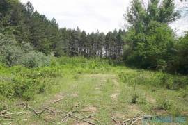 Land For Sale, Choporti