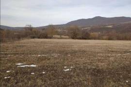 Land For Sale, Betsentsurebi