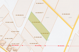 Land For Sale, Lilo