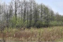 Land For Sale, Anaklia