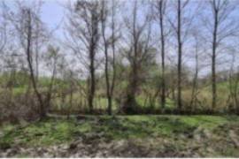 Land For Sale, Anaklia