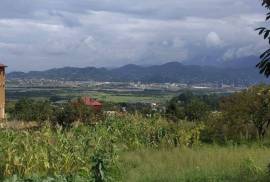 Land For Sale, Gonio