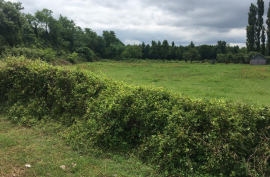 Land For Sale, Marani 