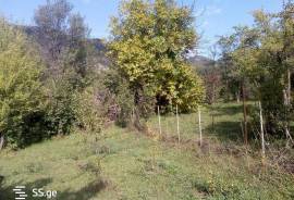 Land For Sale, Abastumani 