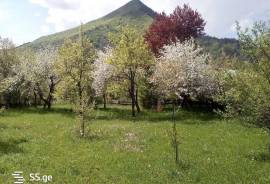 Land For Sale, Abastumani 