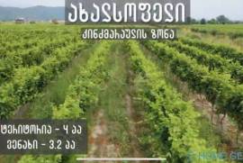 Land For Sale, Agricultural, Akhalsopeli