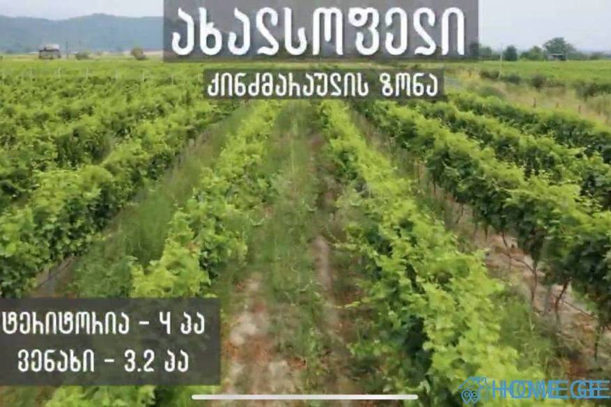 Land For Sale, Agricultural, Akhalsopeli