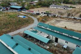 იყიდება მიწის ნაკვეთი, სასოფლო - სამეურნეო, ქარელი